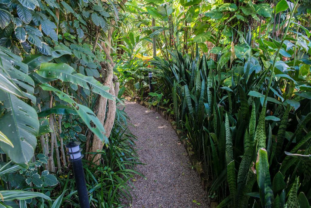Pousada Verde Natur Florianópolis Eksteriør bilde